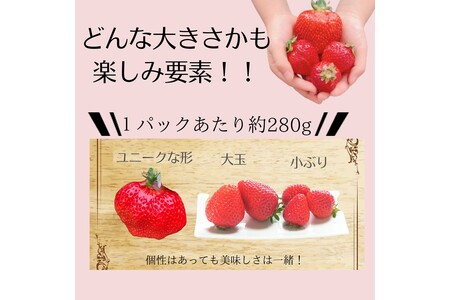 【先行予約受付中】【2026年12月以降順次発送】特別栽培あまおう4パック(サイズミックス)【うるう農園】_HA1968