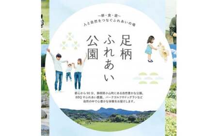 足柄ふれあい公園 手ぶらでBBQ（2名様）