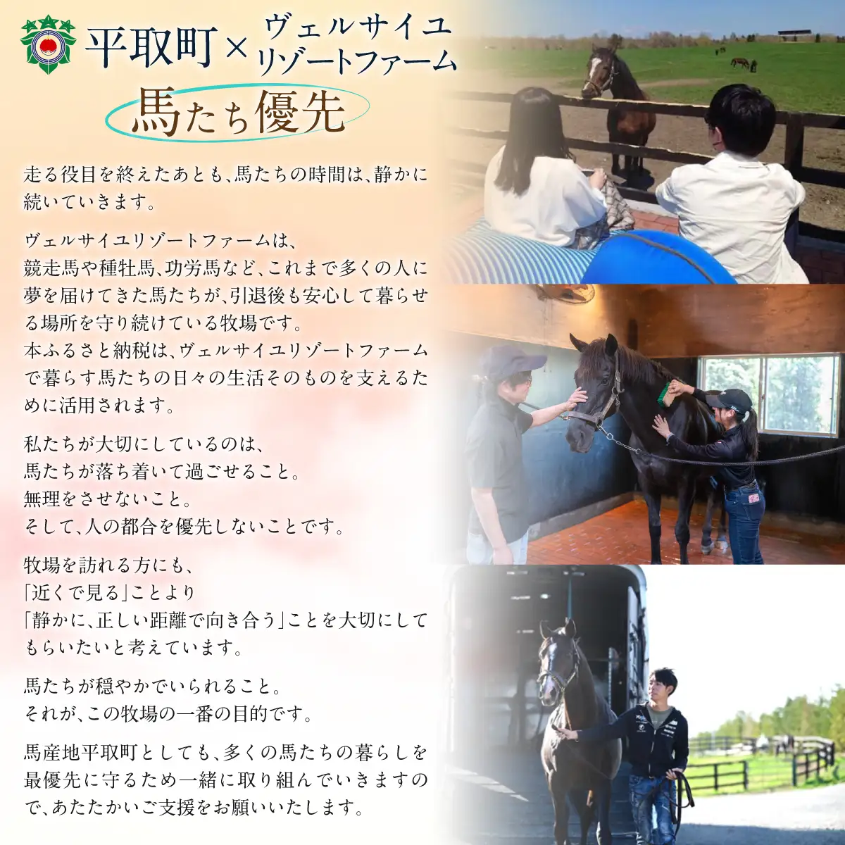 【1億円コース 返礼品無し】より多くの引退馬の幸せな余生を願う　Yogiboヴェルサイユリゾートファーム BRTV024-08