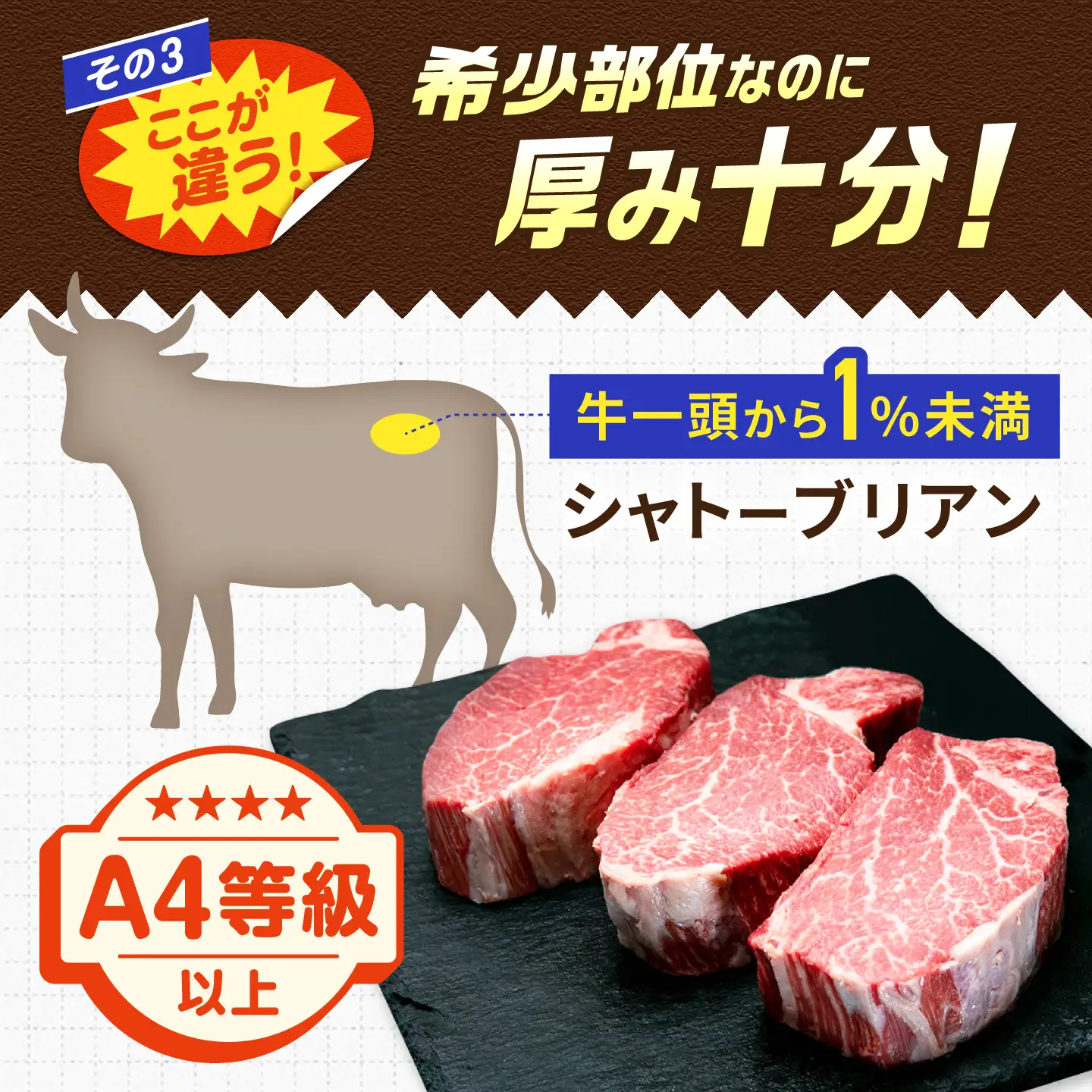 【新登場】博多和牛シャトーブリアン 600g（200g×3） / シャトーブリアン ステーキ[AFCN010]
