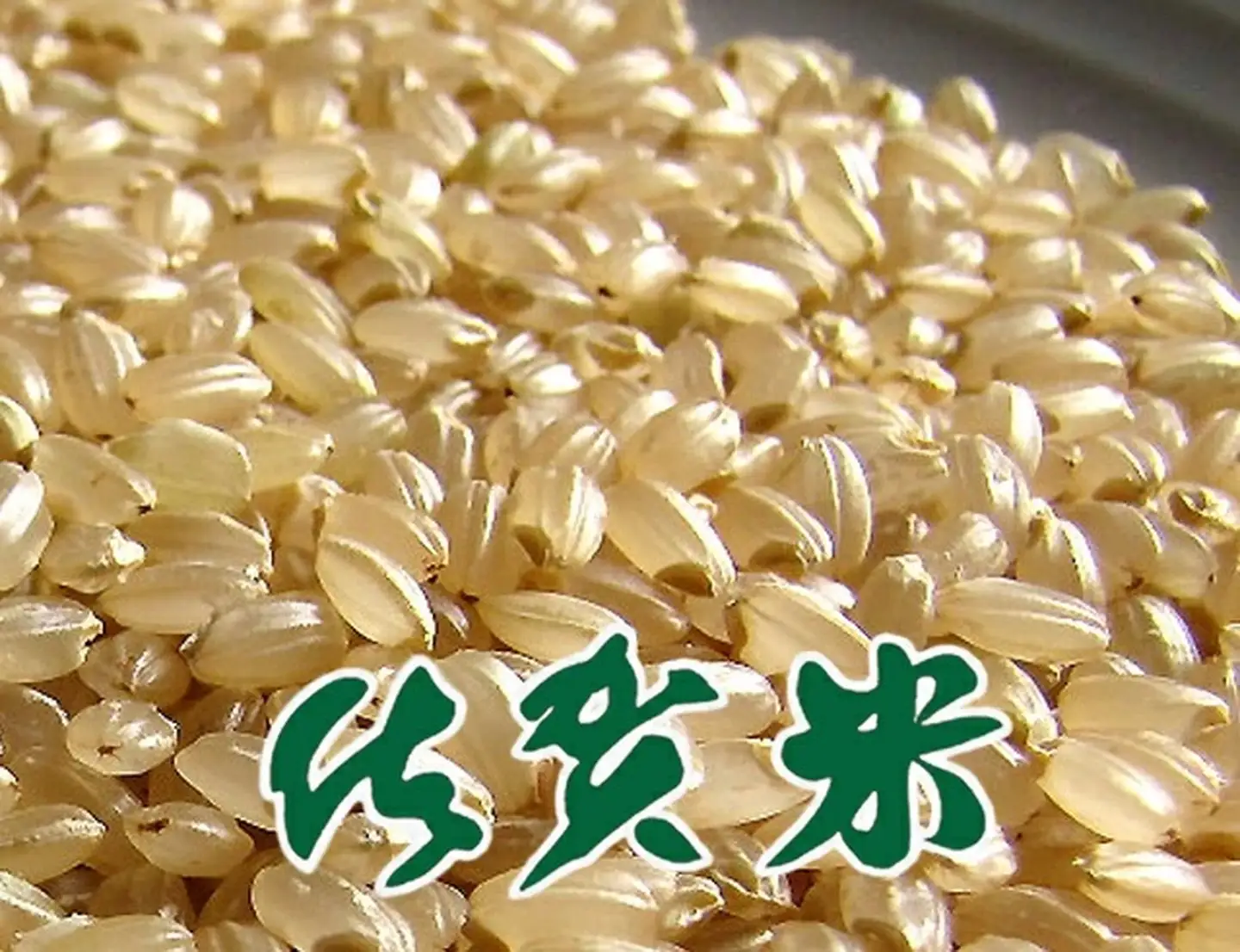 ＜玄米＞佐賀東与賀産シギの恩返し米（特別栽培米夢しずく）10kg：B270-012