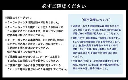 釣具のダイワのクーラーボックス ライトトランクα S3200 （ 容量：32リットル ） クーラーボックス ボックス ダイワ アウトドア レジャー フィッシング 釣り キャンプ バーベキュー