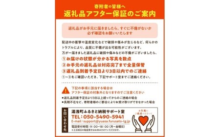 ZE6518_【2026年先行予約】【秀品】和歌山県産 有田みかん 約7kg (2S～Lサイズ混合)【まごころ手選別】