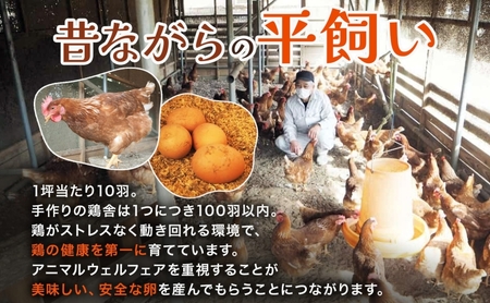 埼玉県蓮田市 平飼い卵 50個入 Mサイズ 玉子 新鮮 濃厚 コク 卵黄 鶏卵 タマゴ ギフト 卵セット 贈り物 プレゼント 食品 食材 朝ごはん 家族 団らん 朝食 昼食 ランチ 贅沢 お弁当