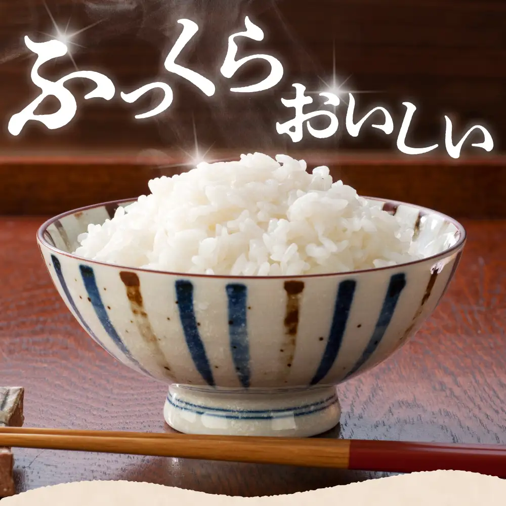 【2026年7月上旬発送】新潟県妙高産コシヒカリ20kg※沖縄県・離島配送不可