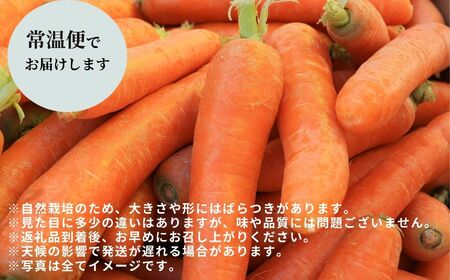 人参 2kg 人参