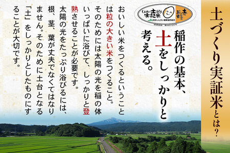 秋田県産 ひとめぼれ パックご飯 200g×12個  あきたこまち パックご飯 200g×12個 計24個 [ひとめぼれ あきたこまち 米 お米 こめ 白米 精米 ブランド米 食卓 パックご飯 レトルト 簡単 レンジ 秋田県産 秋田県 由利本荘市]