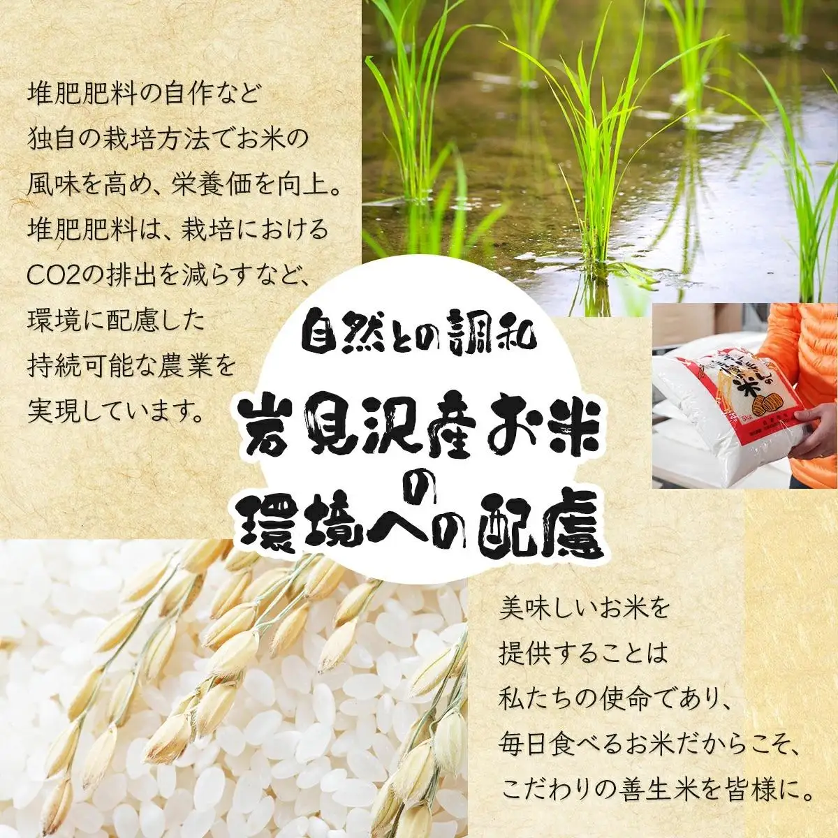 《令和 7 年産》お米 ななつぼし 10kg｜『100%自家生 産精米』善生さんの自慢の米 ※一括発送 北海道 岩見沢市 a104-115