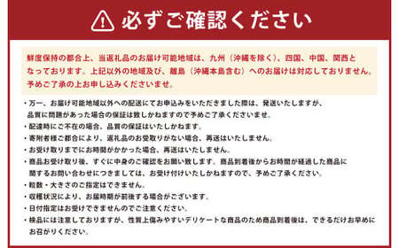 熊本県産みはや 約5キロ 【2026年12月上旬より順次発送】 果物 柑橘類 蜜柑