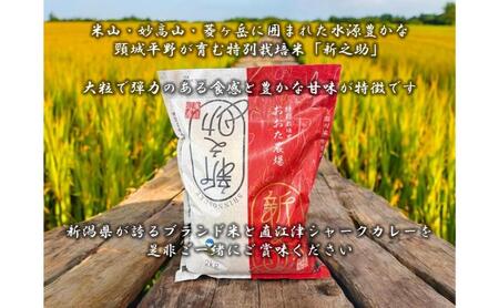 直江津小学校の児童が考えたシャークカレー（180g×8個）  新潟県上越市産米の新之助（2kg） セット レトルト カレー 米 上越市