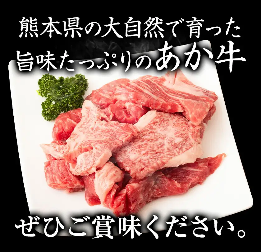 GI認証取得 くまもとあか牛 焼肉用 切り落とし 300g×2パック 合計600g あか牛 切落し 牛肉 肉 国産 九州産 熊本県産 冷凍《30日以内に出荷(土日祝除く)》