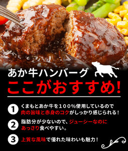 GI認証取得 くまもとあか牛100％使用 くまもとあか牛ハンバーグ 150g×20パック あか牛 ハンバーグ 牛肉 肉 国産 九州産 熊本県産 冷凍《30日以内に出荷(土日祝除く)》