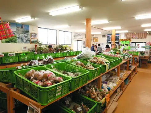 【5か月連続】＜令和7年産米＞蔵王源流米5kg＆季節の恵みセット(3～5品程度)　【04301-0139】