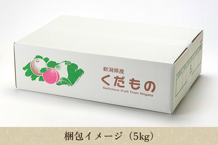 【2026年先行予約】【家庭用】和梨 新興 5kg（7～10玉）《10月中旬～順次出荷》 しんこうなし 果物 フルーツ ナシ 新潟産 加茂市 入江果樹園 
