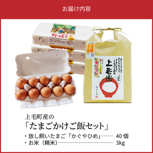 上毛町産の「たまごかけご飯セット」（卵40個・米3kg）（専用醤油なし版） _C01807