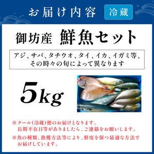 【0008-2】御坊産　鮮魚セット5kg【配送不可地域】沖縄・北海道・東北・九州