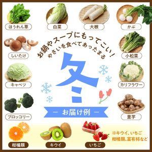 【0055-2】旬の新鮮野菜・フルーツ詰め合わせ