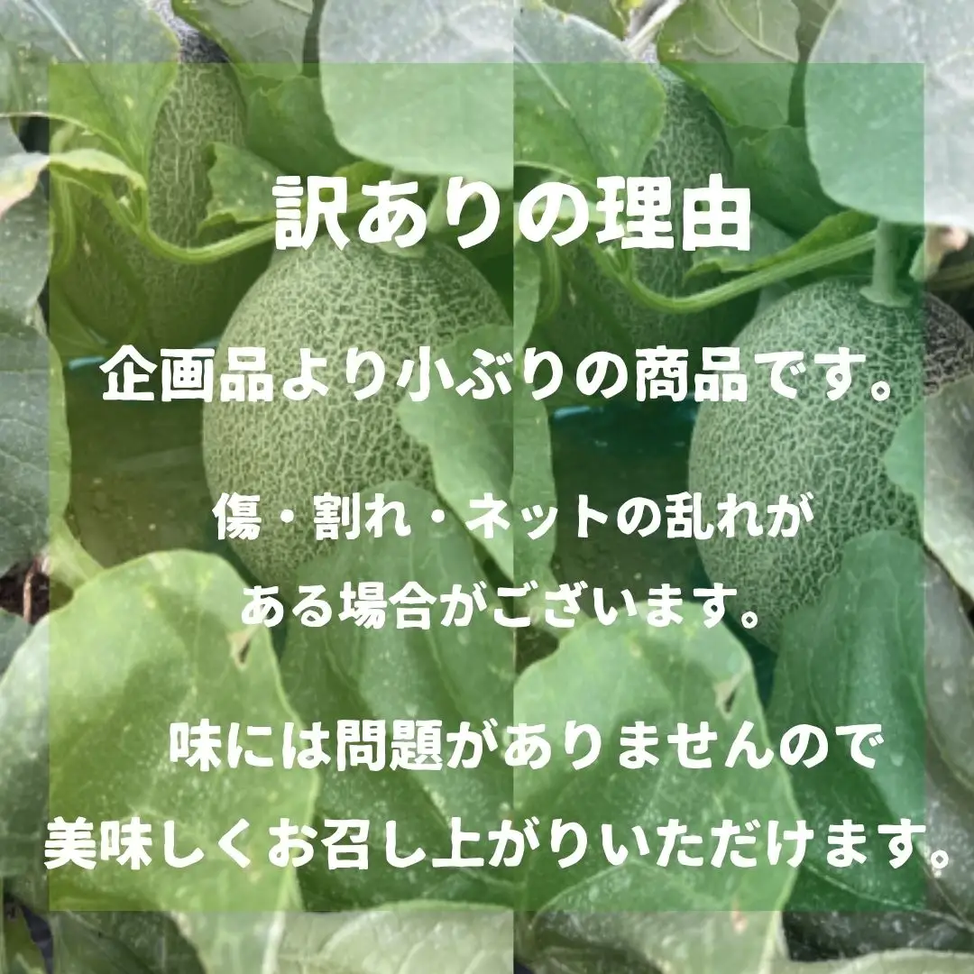 【先行予約 令和8年夏発送 】 K-farmのおまかせメロン4玉 【訳あり】