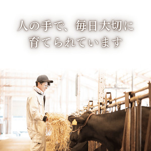 幻の和牛、無角和種に会いにいこう!！「見て・触れて・食べる」を2時間半でまるっと体験！【無角和種堪能ツアー】※体験チケット2名様分