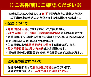 ＜先行予約受付中！2026年8月下旬～10月下旬に順次発送予定＞福岡県ブランドいちじく とよみつひめ (計約1.2kg・300g×4P) いちじく イチジク 無花果 生 国産 フルーツ 果物 くだもの オリジナルブランド デザート 期間限定 【農産物直売所ほたるの里】as52-030