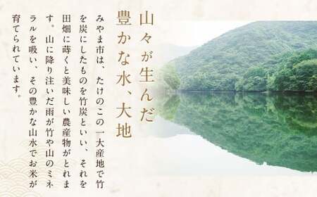 A46 福岡県産 白米10kg (10kg×1袋)  銀座の料亭 ご愛用のお米 
