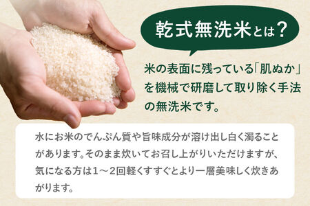 《新米予約》《定期便10ヶ月》令和8年産【無洗米】特別栽培米 ひとめぼれ 10kg（5kg×2袋）秋田県産 [ひとめぼれ 米 お米 白米 精米 無洗米 特別栽培米 ブランド米 食卓 秋田県産 秋田県 由利本荘市]