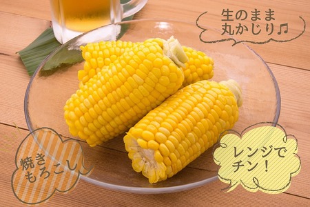 朝採れを直送！スイートコーン【ゴールドラッシュネオ】7kg（15本以上）_とうもろこし 7kg 15本以上 朝採れ スイートコーン 農家直送 ゴールドラッシュネオ 甘い 1年のうちの1ヶ月しか味わえない まるでフルーツ Sueyasu farm 新鮮 粒皮がやわらかい 焼きとうもろこし コーン 末安農園 福岡県 久留米市 お取り寄せ 野菜 送料無料 〔Gv013〕