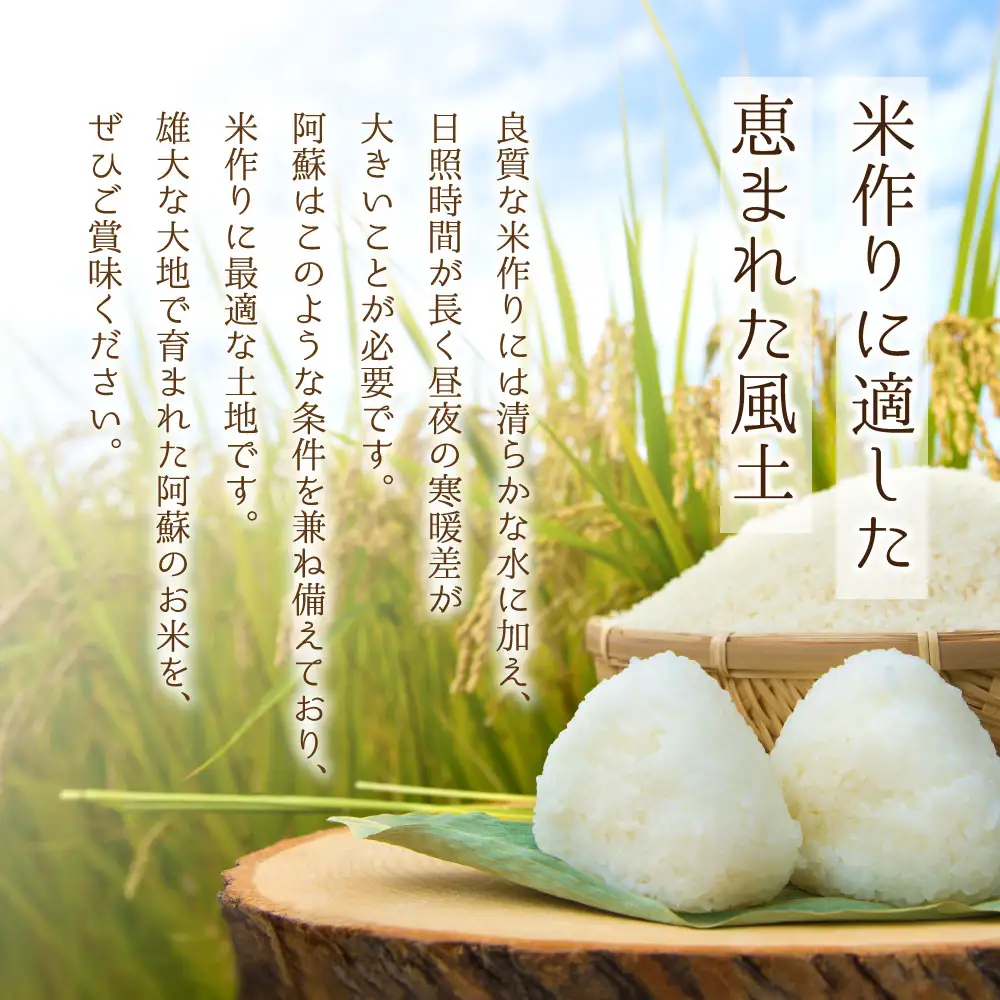 【定期便全6回】特別栽培米 ミルキークイーン5kg（アグロスタイル） 白米 米 阿蘇市