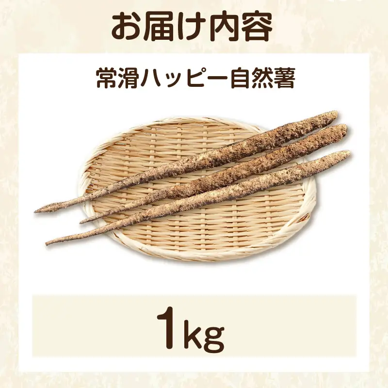 常滑ハッピー自然薯　約1kg