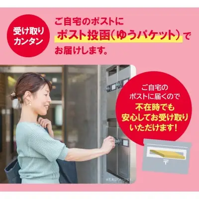 Y56-02 福岡有明海産 焼き海苔 全形30枚