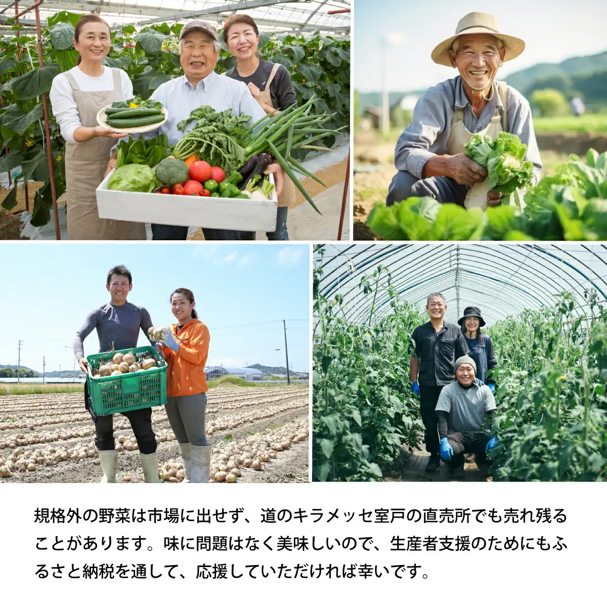 朝どれ野菜１０品目【４ヶ月連続定期便】～新型コロナ支援 野菜 定期便 詰め合わせ 頒布会
