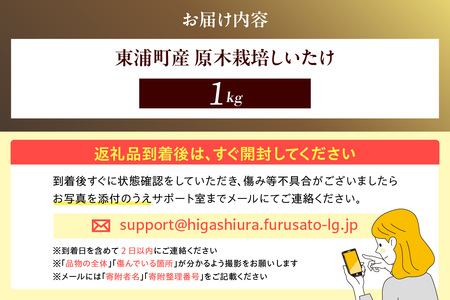 【先行予約：26年10月～発送】東浦町産 原木栽培生しいたけ（約1kg）