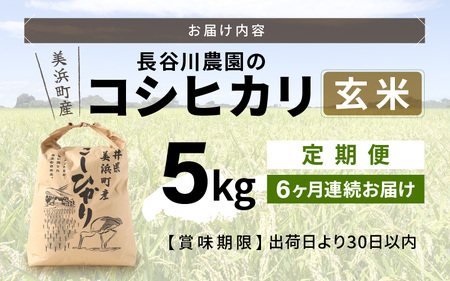 【令和7年産】定期便 ≪6ヶ月連続お届け≫長谷川農園の コシヒカリ 玄米 5kg × 6回 (計30kg) 【 こしひかり 5キロ 玄米 】 [m22-f003]