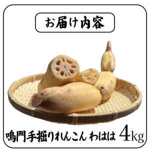 鳴門れんこん 4kg れんこん