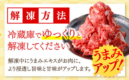【12回定期便】国産 黒毛和牛 熟成肉 切り落とし計1kg(500g×2パック)/ 小分け 国産牛 お肉 牛肉 切落し 冷凍 焼肉 すき焼き / 南島原市 / ふるさと企画[SBA097]