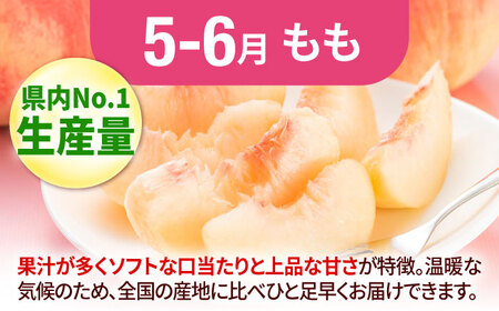 【3回定期便】フルーツ定期便（あまおう/びわ/桃） 広川町 / JAふくおか八女農産物直売所どろや[AFAB089]