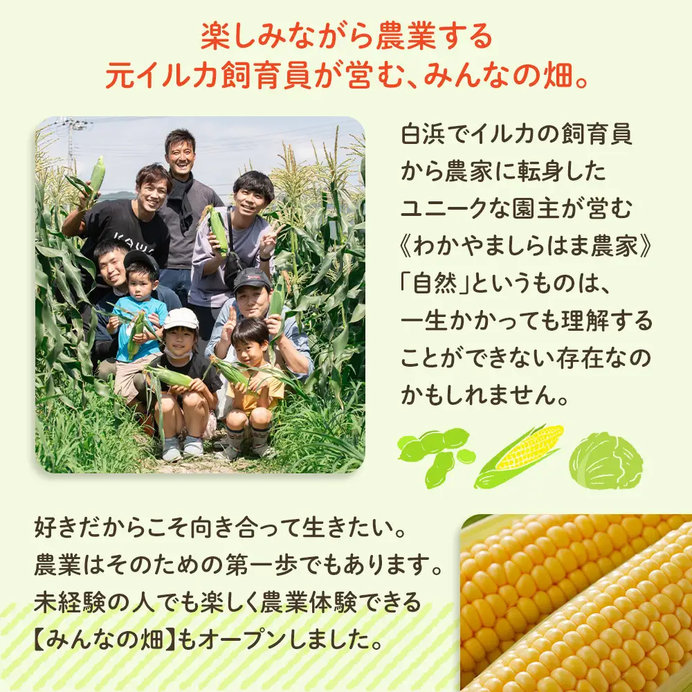 しらはまレタポタ 6袋 セット わかやましらはま農家 特製 ポタージュスープ