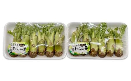 山菜の王様 鏡石の自然の恵み タラの芽 約100g（約50g×2） 山菜 野菜 食品 F6Q-466