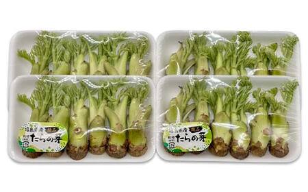 山菜の王様 鏡石の自然の恵み タラの芽 約200g（約50g×4） 山菜 野菜