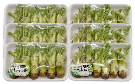 山菜の王様 鏡石の自然の恵み タラの芽 約300g（約50g×6） 山菜 野菜 食品 F6Q-468