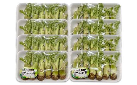 山菜の王様 鏡石の自然の恵み タラの芽 約400g（約50g×8） 山菜 野菜 食品 F6Q-469