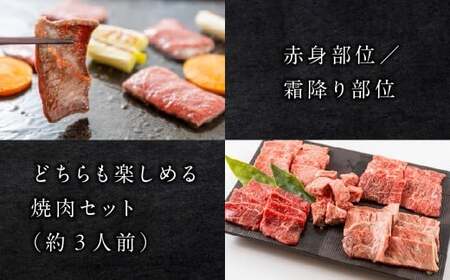 【遅れてごめんね 父の日（6月23日～28日お届け）】飛騨牛 花盛 焼肉食べ比べセット 500g（5点盛り）約3人前【22-46fo】