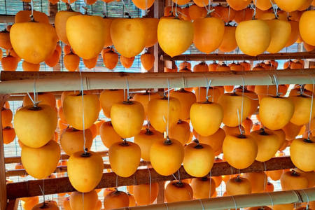 柿 志賀町 ころ柿 12個入り 700g以上 [いこいの村能登半島 石川県 志賀町 sk17jkg20001]