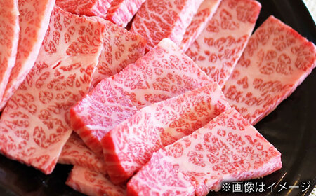 【全6回定期便】長崎和牛 カルビ 総計3.0kg （約500g/回）【ながさき西海農業協同組合】 [DBV025][DBV025]