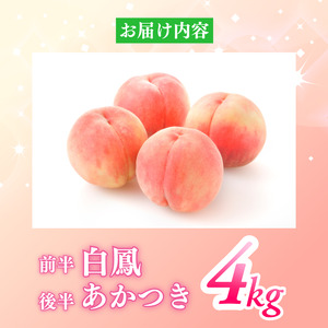 【6月下旬から7月下旬まで発送】桃 4kg 白鳳 あかつき 贈答用 国産