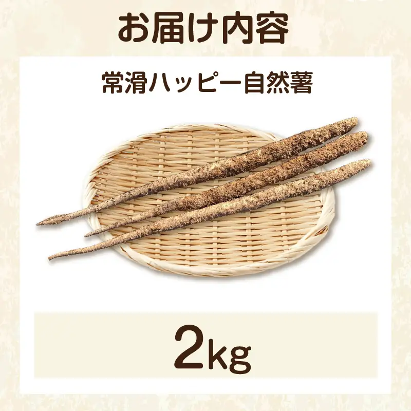 常滑ハッピー自然薯　約2kg