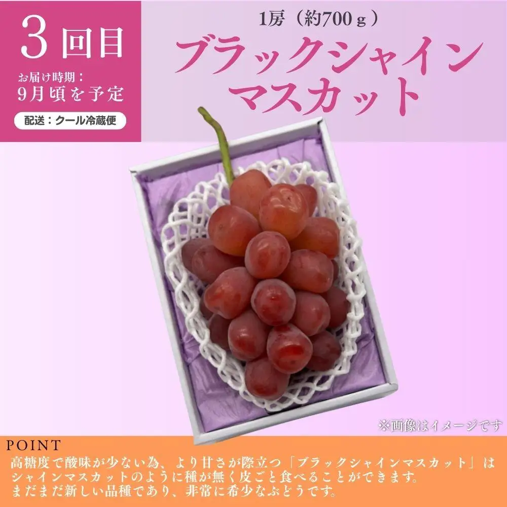 ＜定期便5回＞ 冬桃がたりの5回コース [040-a015]