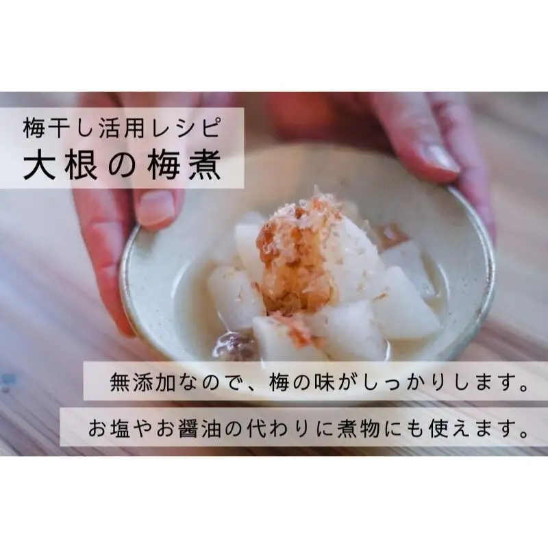 【梅ボーイズ】無添加 紀州南高梅の梅チューブ6本セット（塩・紫蘇）天日塩使用 【umehkr021】