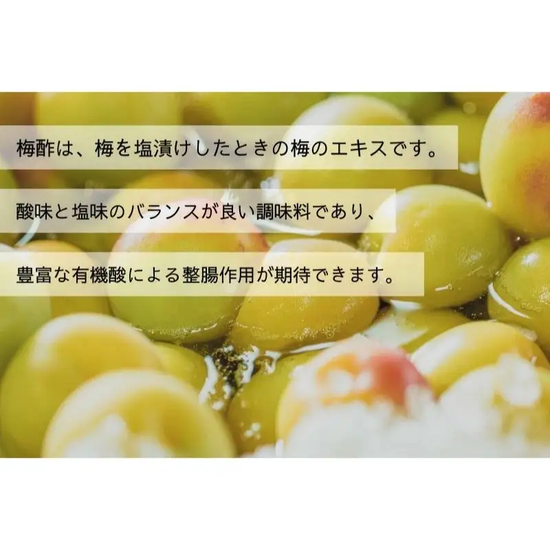 【梅ボーイズ】無添加 紀州南高梅の梅酢2本セット（白・紫蘇）天日塩使用 【umehkr022】