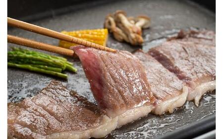 松阪牛 特選 サーロインステーキ 600g 約200g×3枚 ／ 冷凍 ギフト箱包装 瀬古食品 JGAP認定 松阪肉 お取り寄せ 牛肉 お肉 肉 和牛 黒毛和牛 国産 国産牛 ステーキ サーロイン A4ランク ブランド牛 ギフト 贈答 産地直送 松阪 牛 赤身 三重県 大台町 (0057)